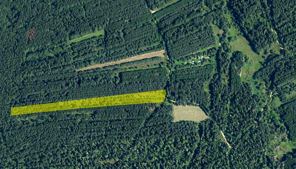 Atrakcyjna działka rolno-leśna 1,58 ha w Jabłonce przy drodze gminnej