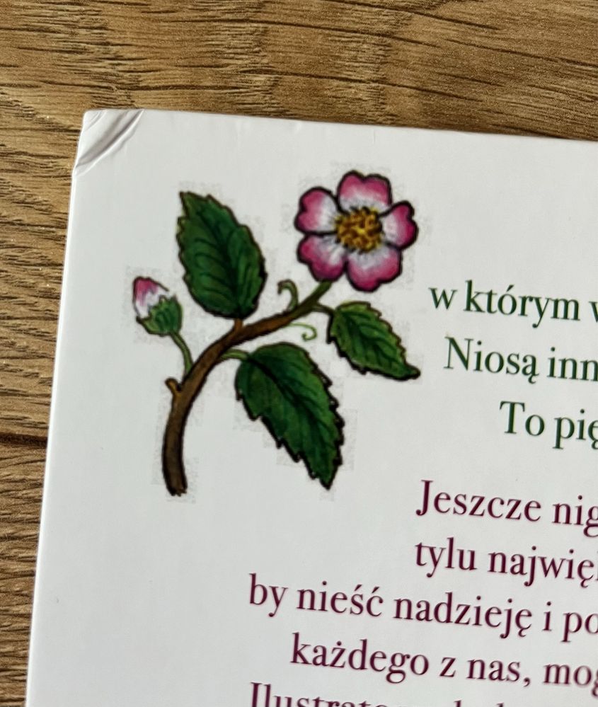 Zestaw 2 książek: Dobry, przyjazny świat oraz Przestańcie się kłócić