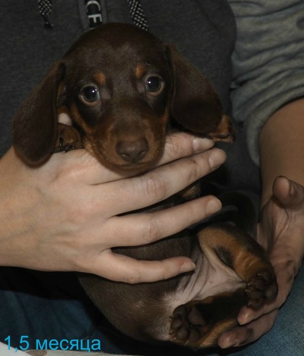 Малюк, який обожнює ігри та прогулянки!