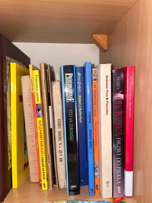 Książki - różne tytuły w opisie - taniej ! DUŻO KSIĄŻEK