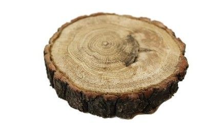 Plaster drewna dąb 14 - 17 cm obrączki poduszka