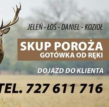 Skup Poroza (poroze,zrzuty,rogi)