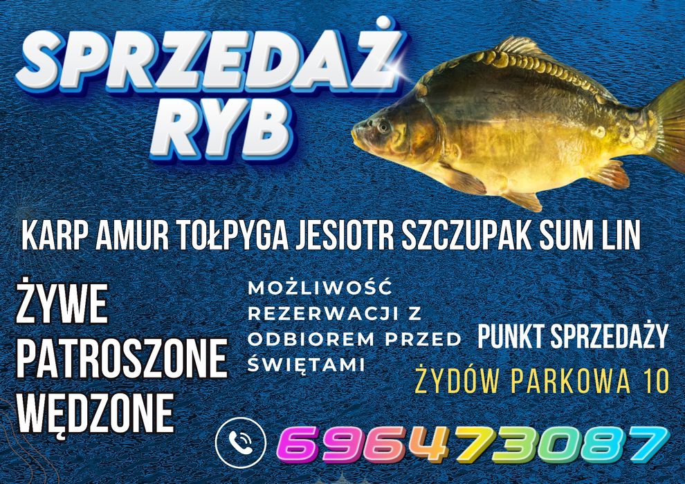 Ryby sprzedaż Karpia hurt detal karp
