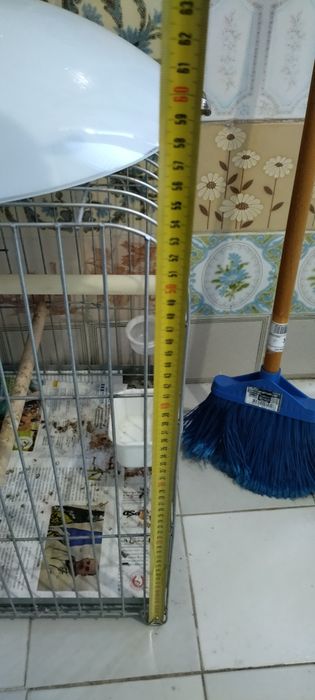 Gaiola papagaio com comedores