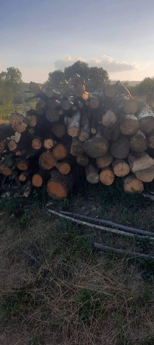 Дрова продаж