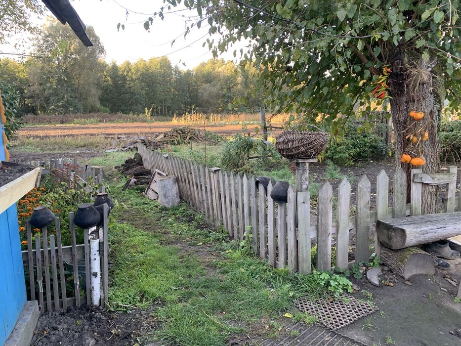 Продам дом 90 км до Киева