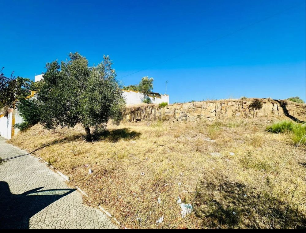TERRENO PARA CONSTRUÇÃO ( ABRANTES )