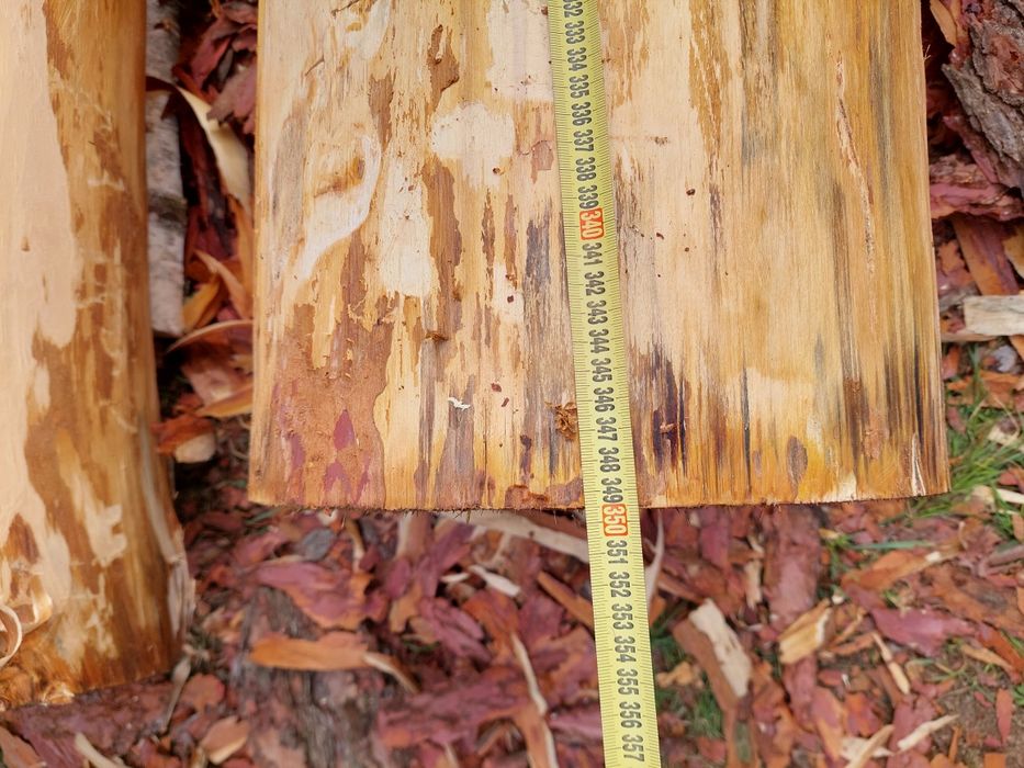 Bale  Modrzew  okorowane