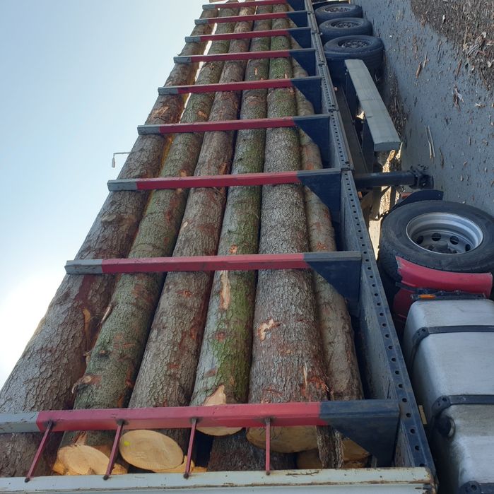 sprzedam jodłe jodła drewno drzewo