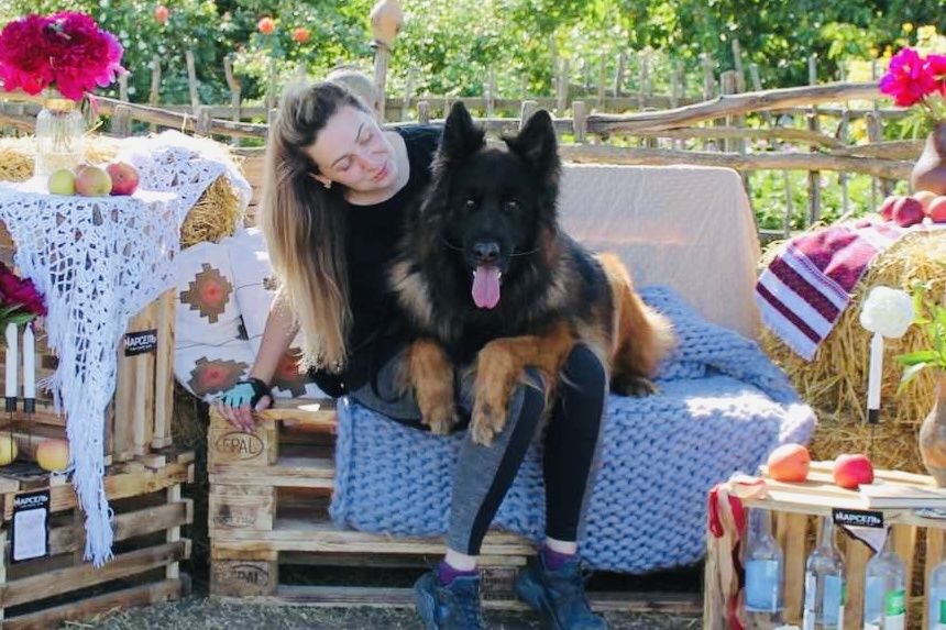 Цуценя німецької вівчарки дш