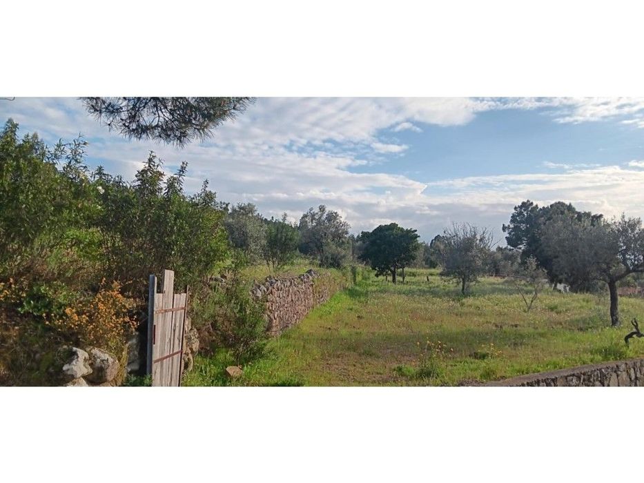 Terreno rústico com construção rural em Aldeia a 5 minutos da Vila ...