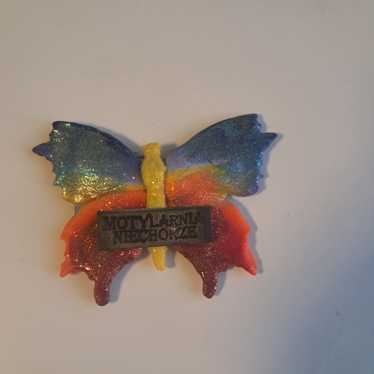 Magnes motyl Motylarnia Niechorze