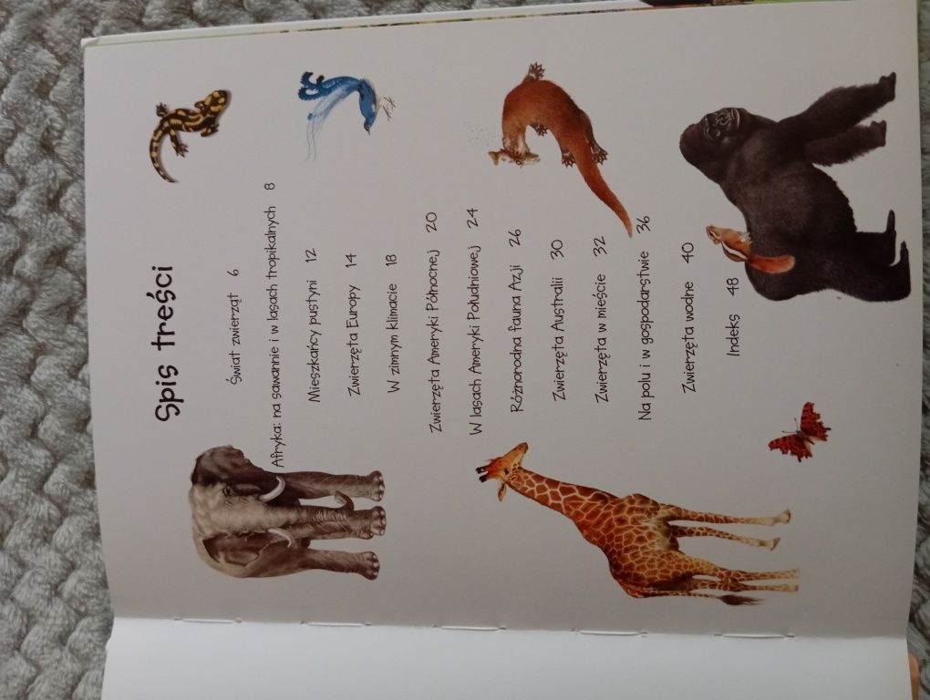 Książka dla dzieci o zwierzętach