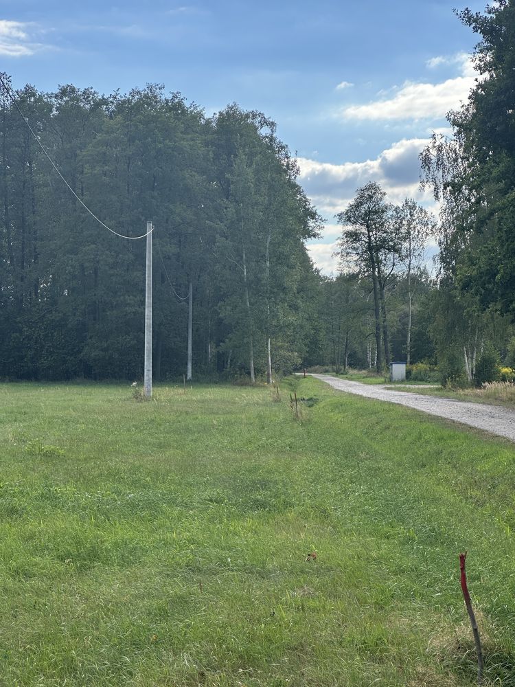 Sprzedam działkę Międzyborów / Stare Budy