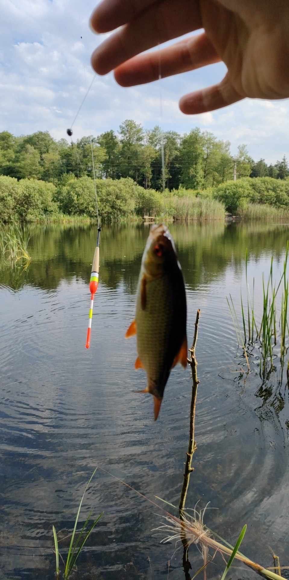 Domek „SIELANKA”,Pojezierze Drawskie, nad jeziorem, na WYŁĄCZNOŚĆ