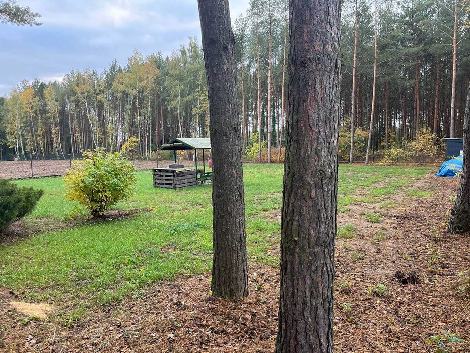 Działka budowlana z MPZP ogrodzona, prąd, studnia