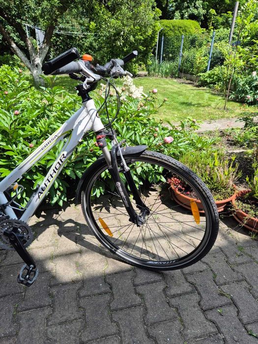 Rower Author Corsaz z niską ramą