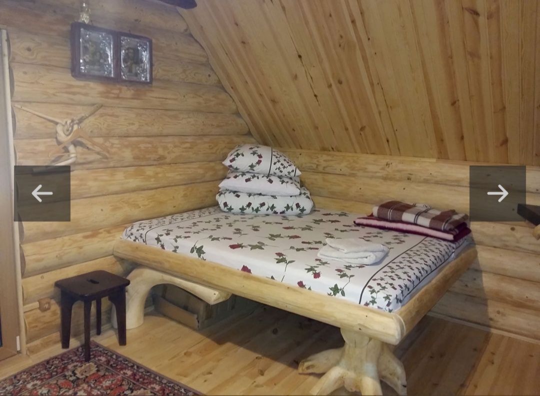 Здається будинок в Карпатах Синевирська поляна
