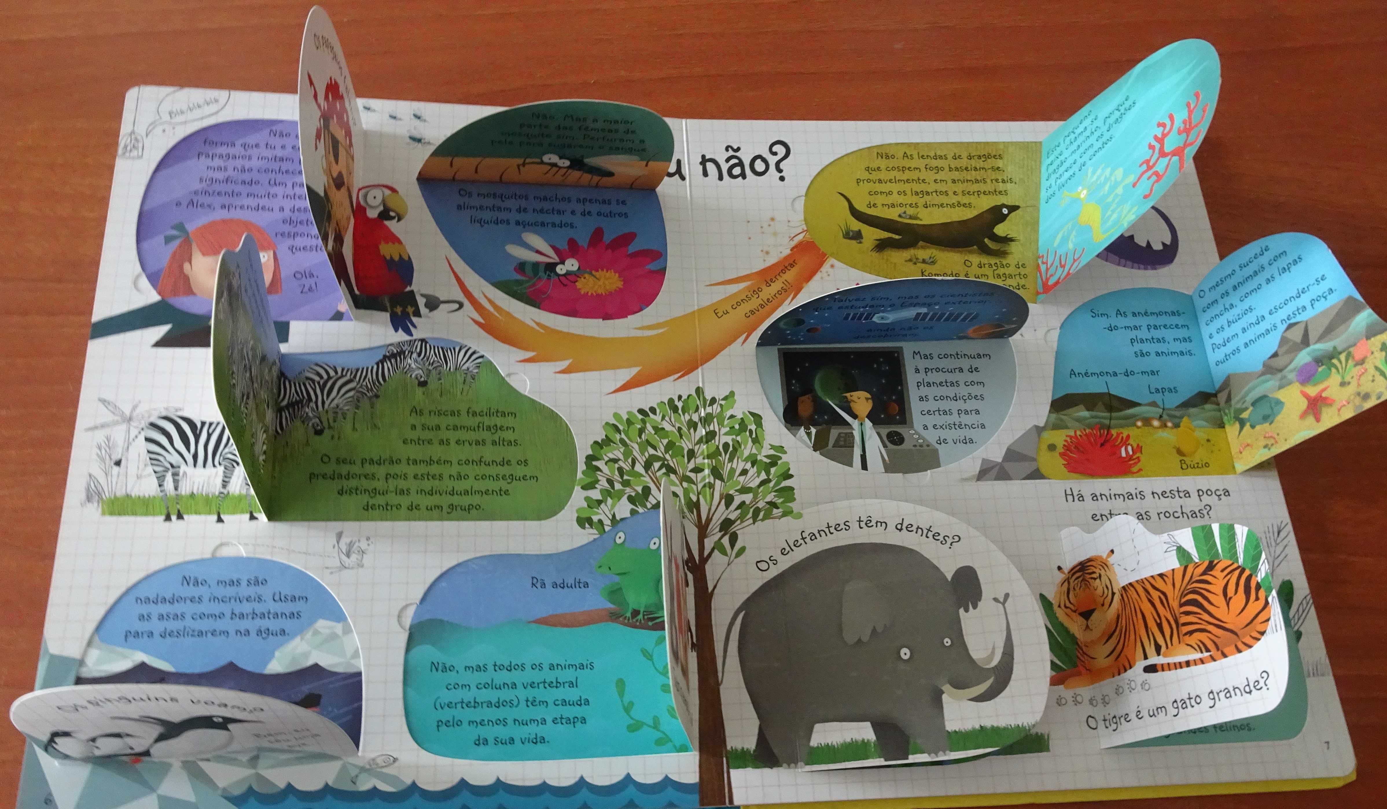 Espreita - Perguntas e Respostas Sobre Animais
