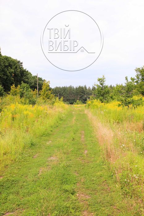 Продаж Ділянки Петрушки 10 соток