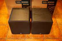 Subwoofer SVS SB-1000 para stan IDEALNY