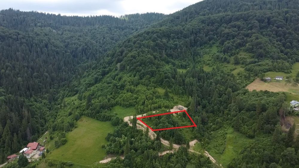Продам земельку ділянку біля лісу