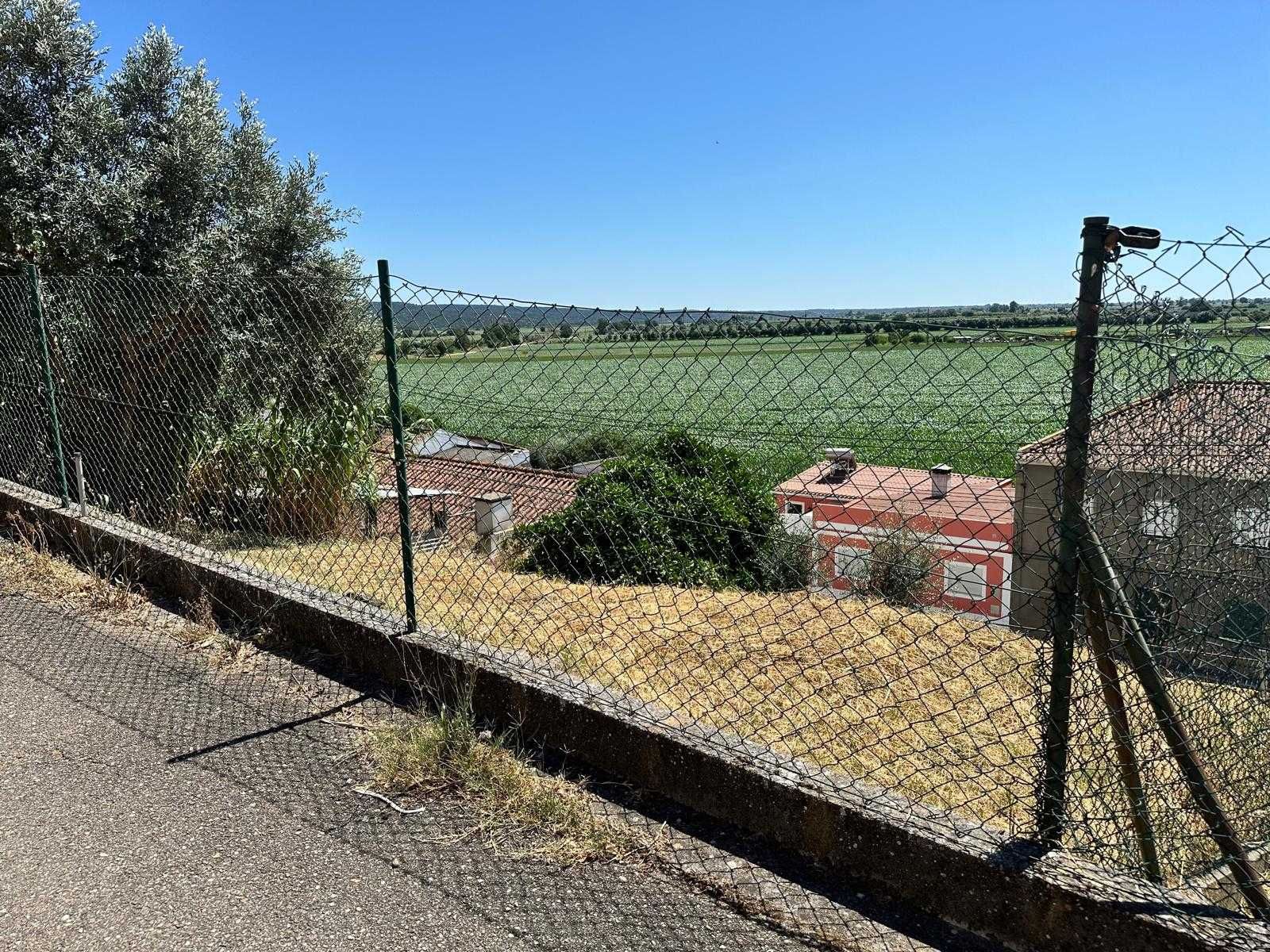 Terreno na Quinta da Coutada Chamusca