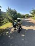 Cybex Priam 4.0 коляска 2 в 1 Leaf Green шасі Matt Black