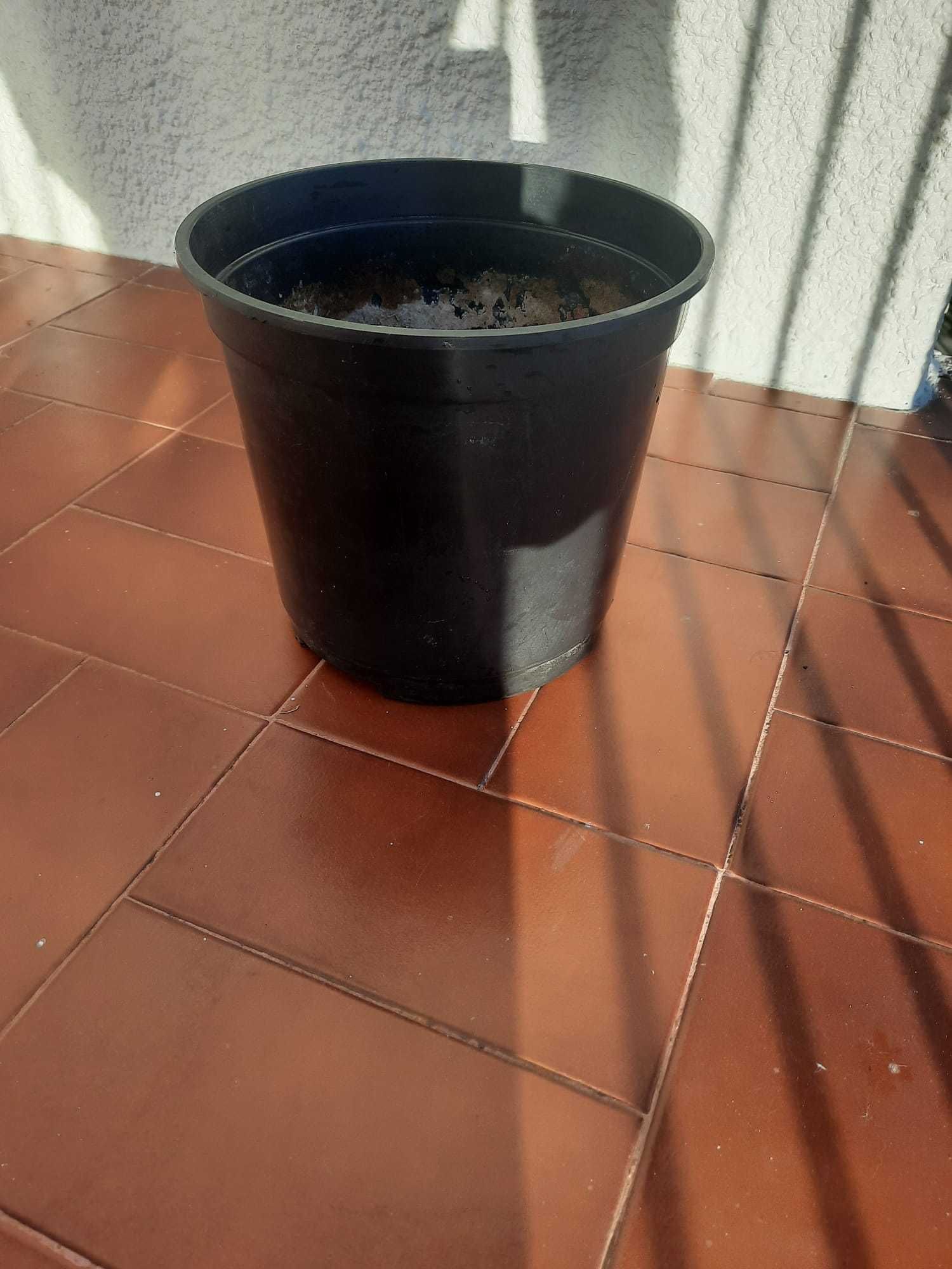 Vasos para Plantas / Flores