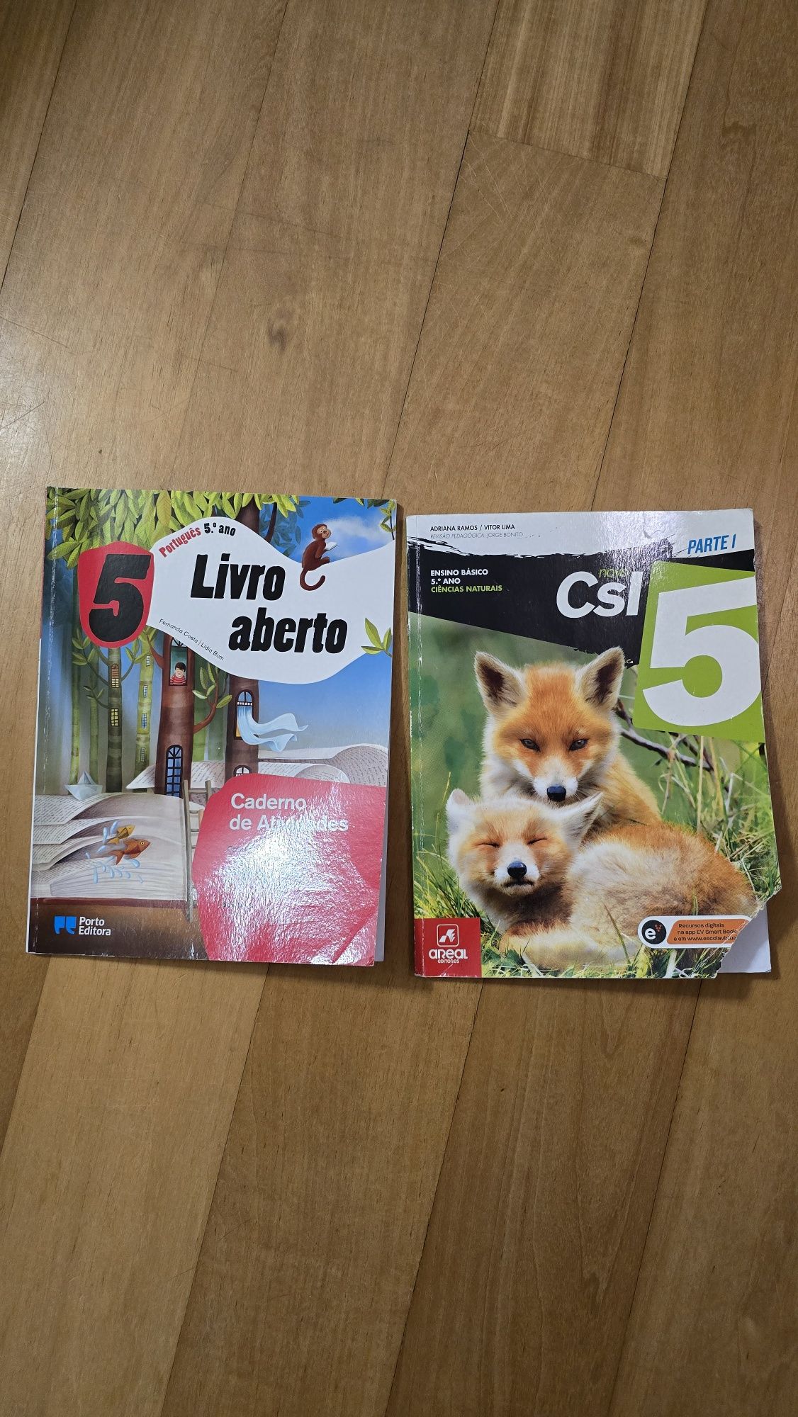 Livros escolares do 4o ao 7o ano