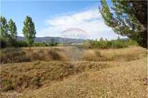 Terreno agrícola