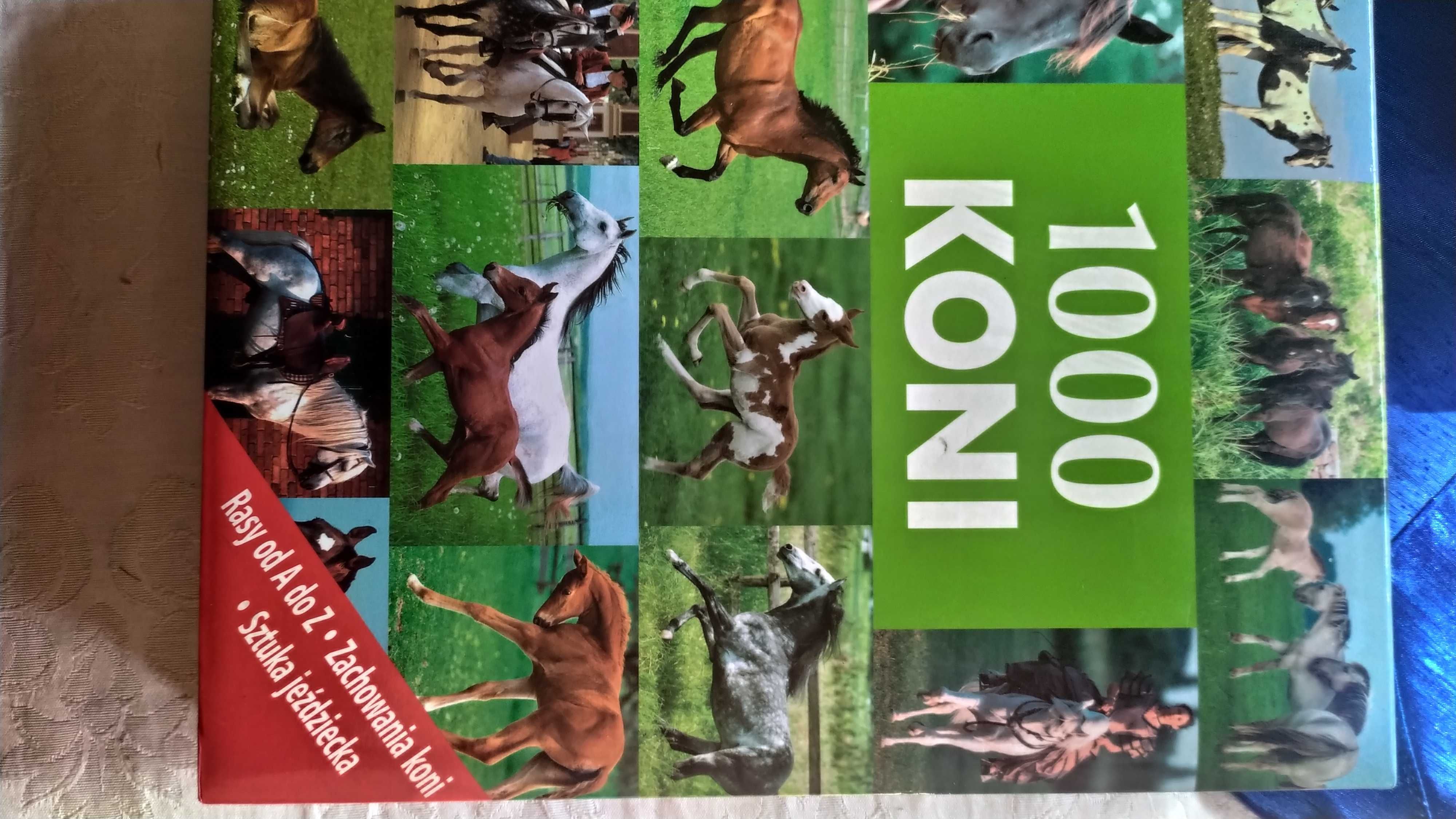 Album koni "1000 Koni"- opis wszystkich ras koni,