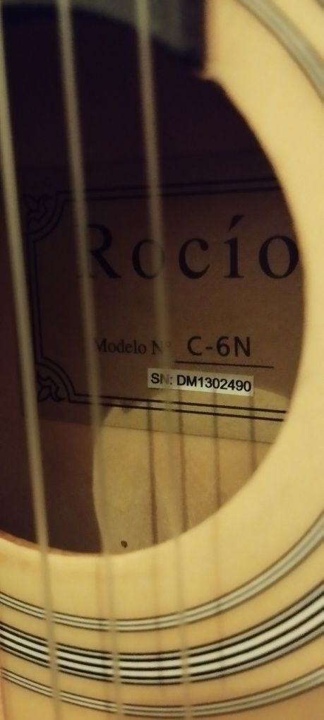 Guitarra Rocio C6n