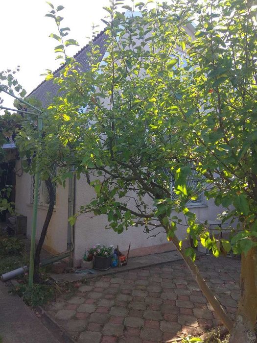 Продам дом-дачу со всеми удобствами