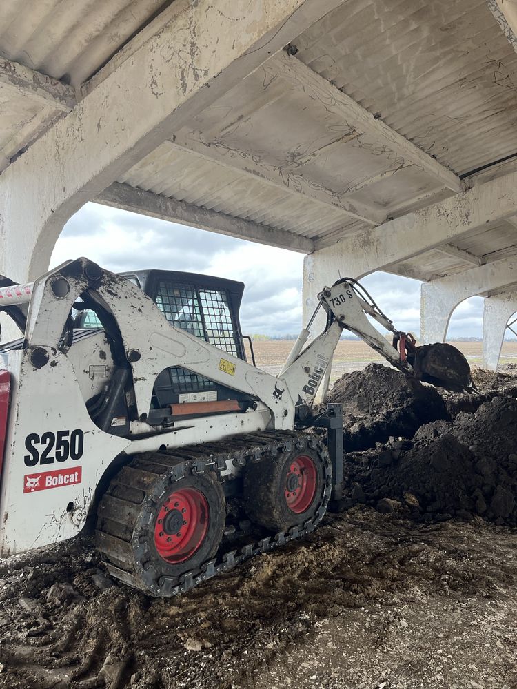 Бобкет бобкат bobcat на гусеницях