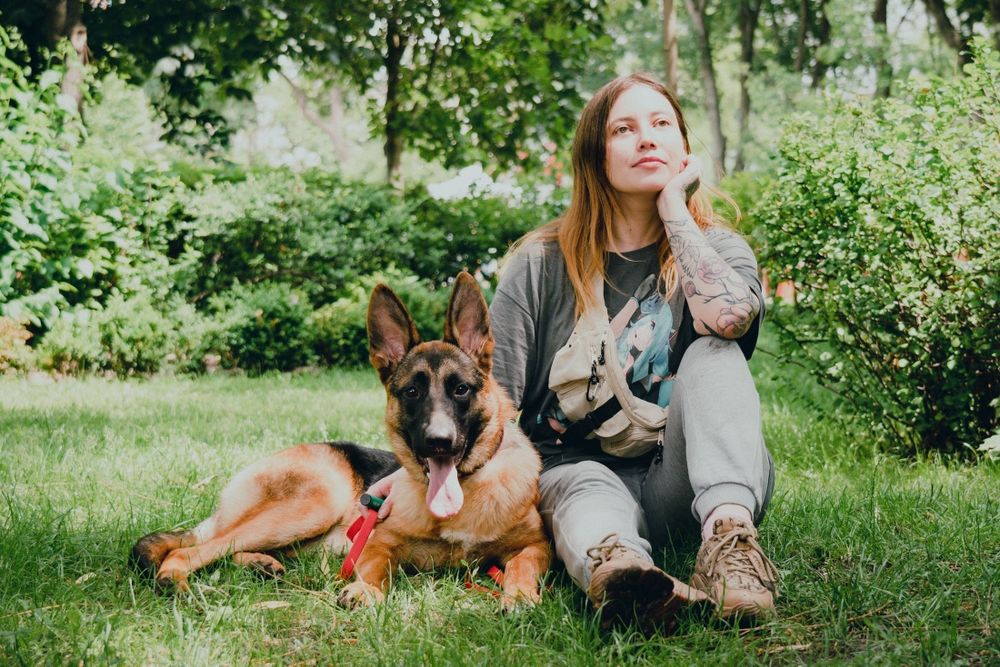 Шукаємо собаку! Пропала вівчарка!