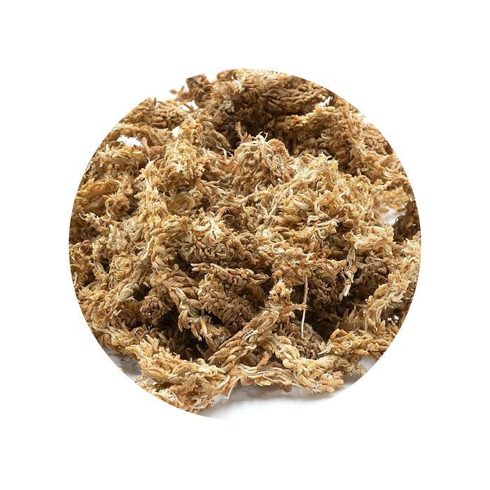 Biosphag Moss Chile Mech Torfowiec Sphagnum Chilijski 5Kg 250L