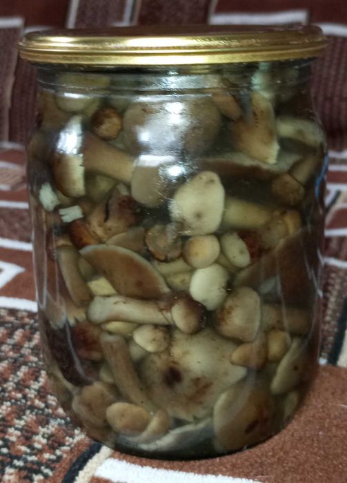 Продам маринованние опята.