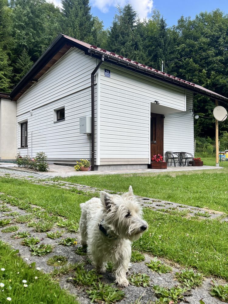 Domek letniskowy/wynajem dla 5 osób małopolska, Beskid Mały Najborówka