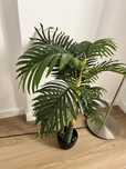 Planta artificial