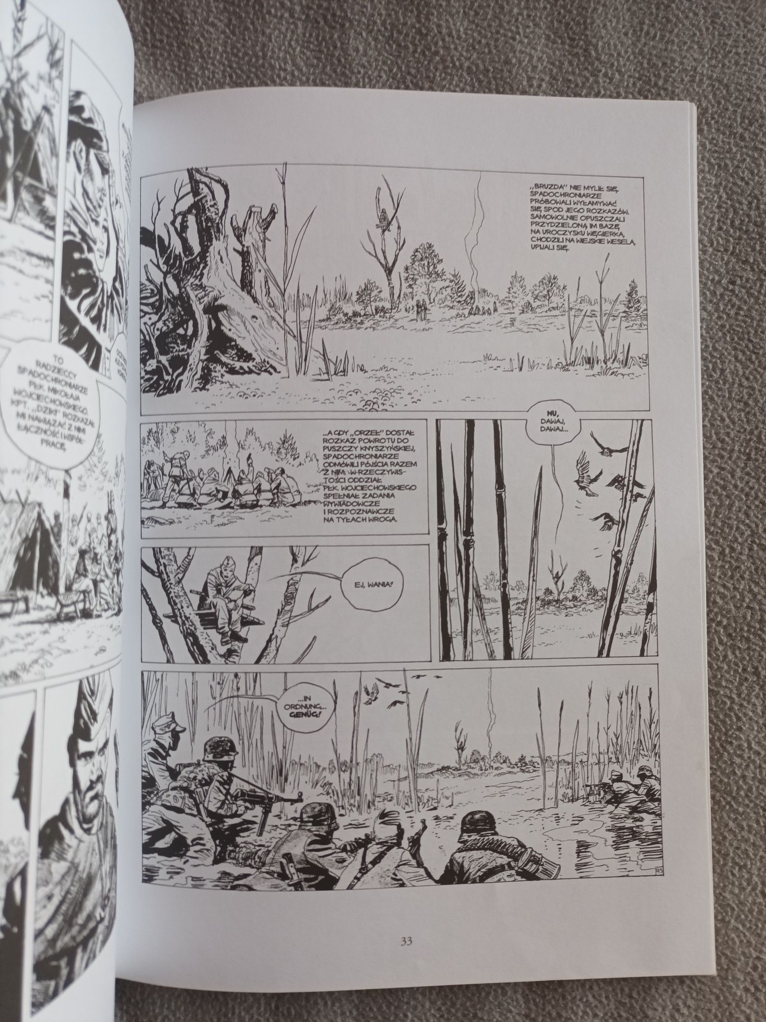 Wyzwolenie 1945-komiks