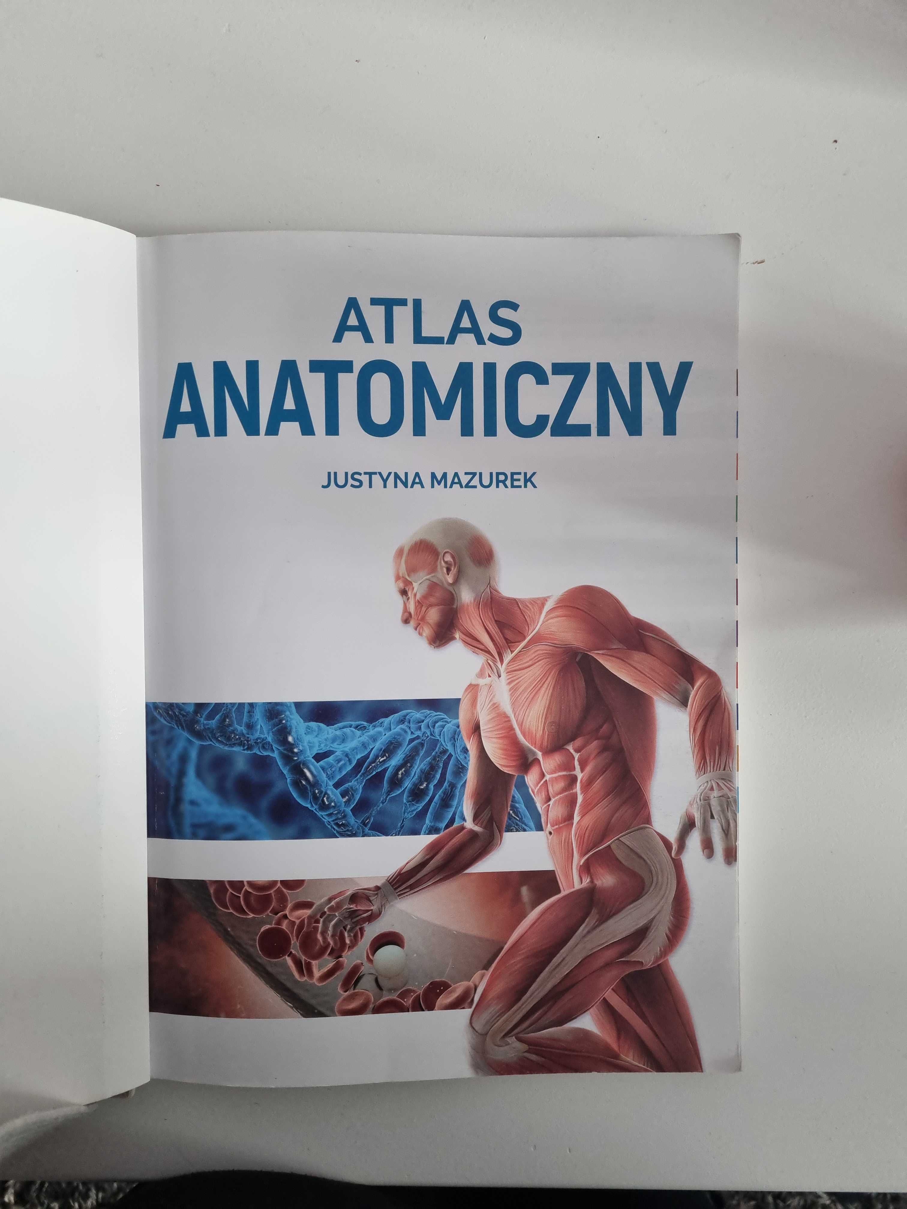 Atlas anatomiczny Mazurek