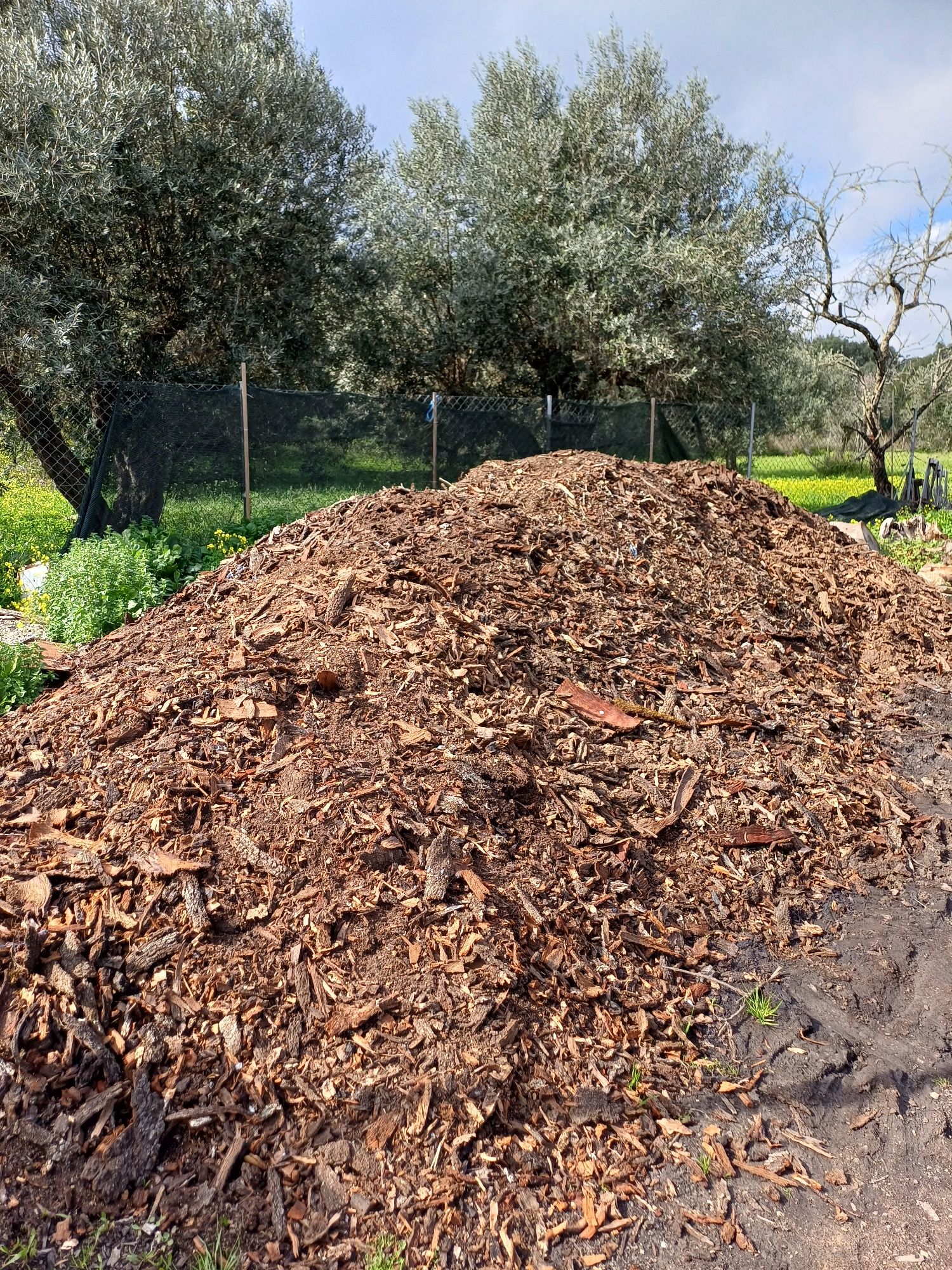 Terra para jardim