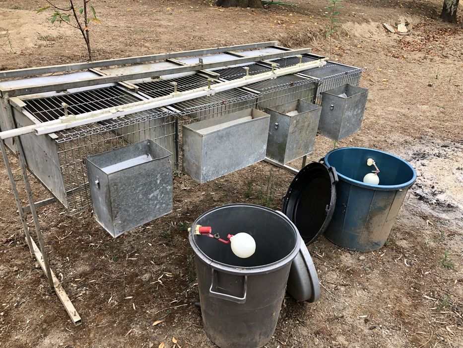 Gaiolas para coelhos