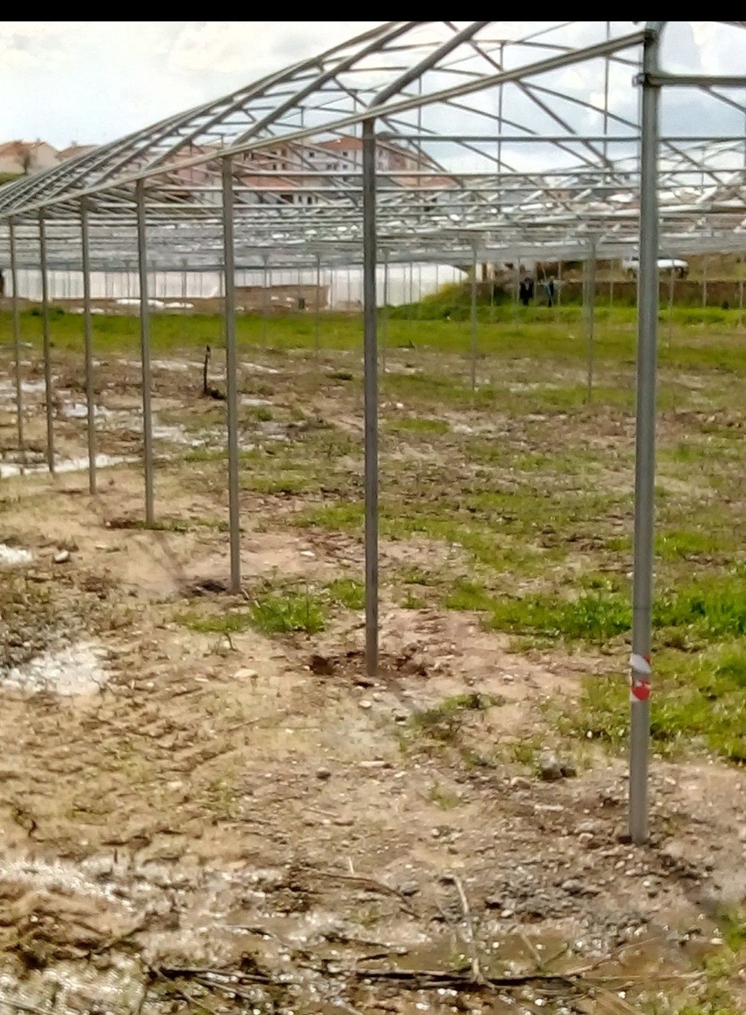 Estufas agrícolas