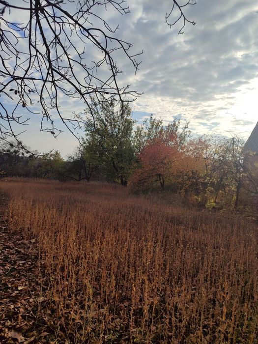 Продам дачу в Жуках