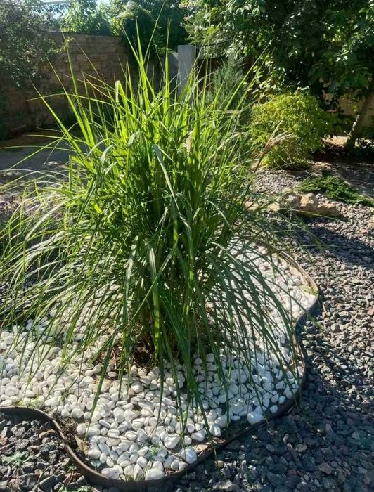 Продам современный капитальный дом в Фонтанке 1.