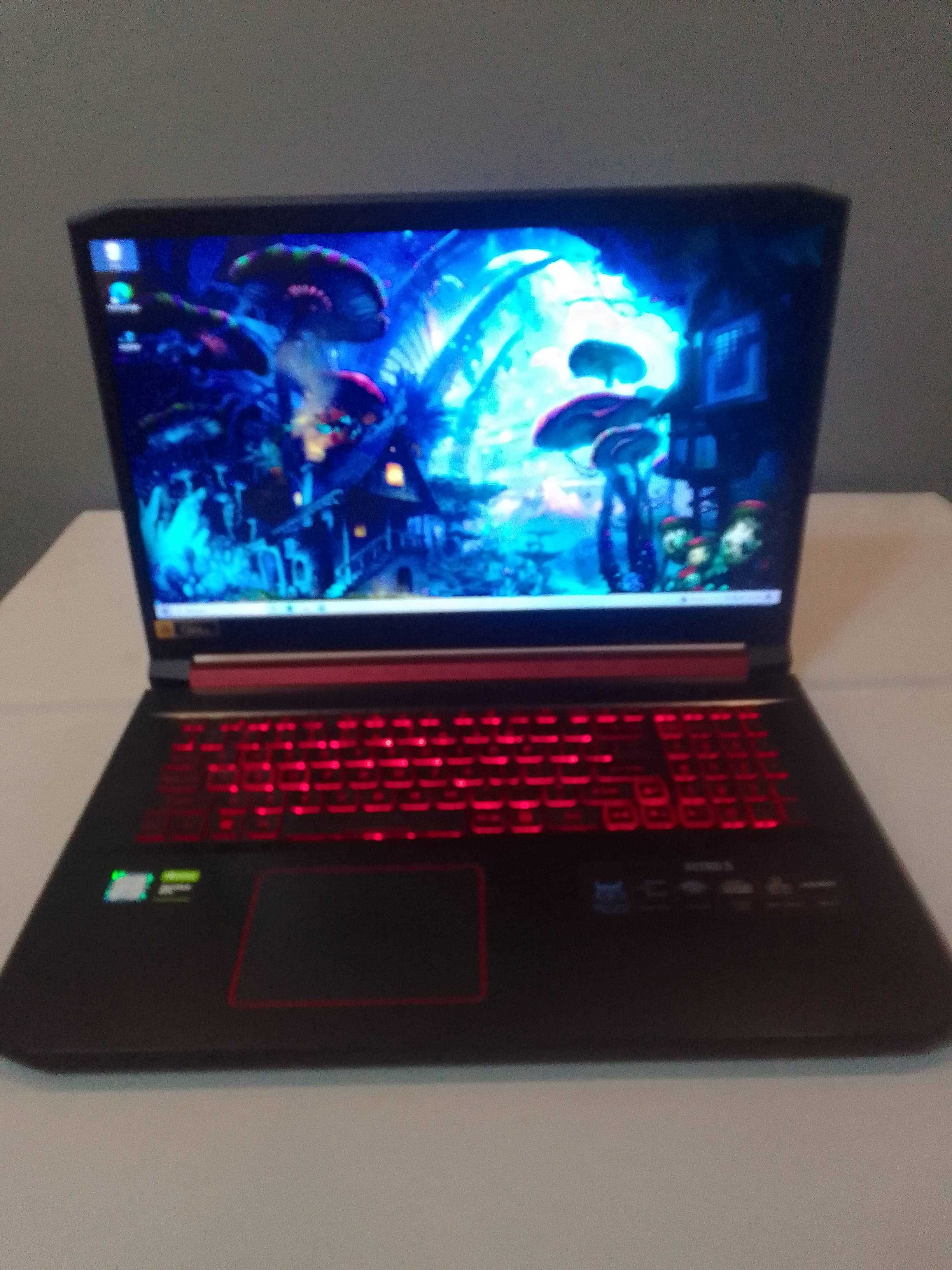 Acer Nitro 5 , zadbany, 17'3, 1660ti, i7 9th, dwa dyski