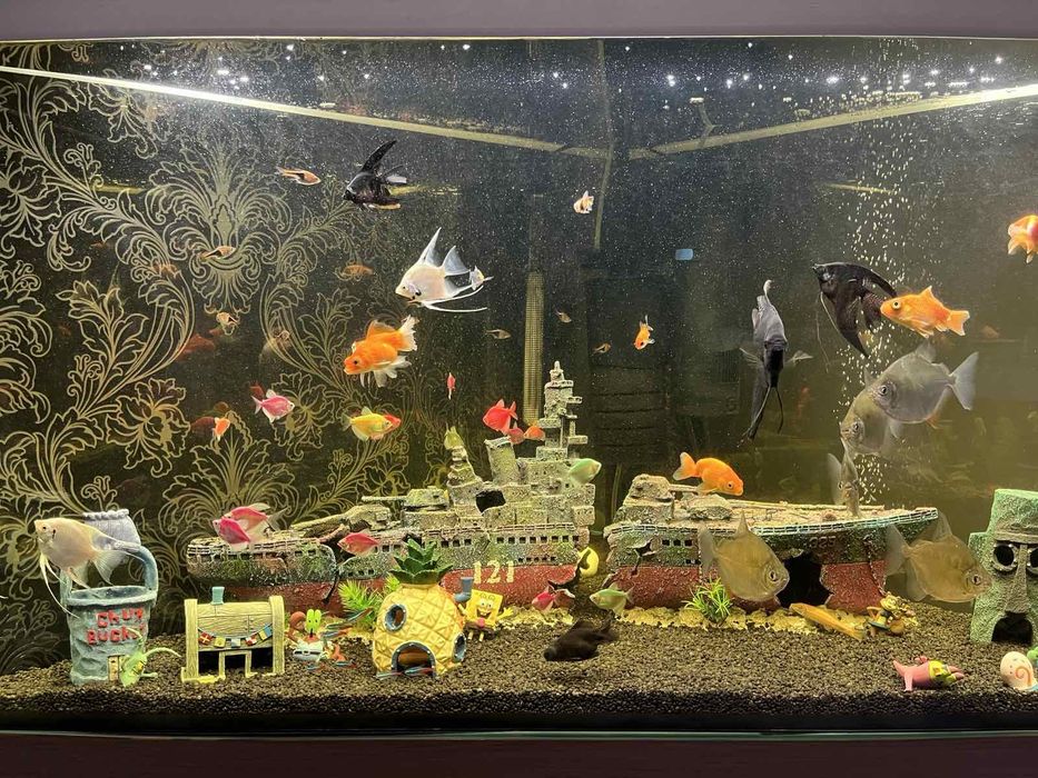 Акваріум на 200 літрів з тумбою самовивіз