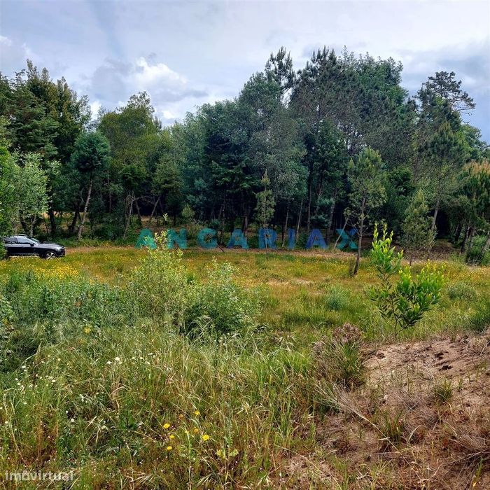 ANG1121 - Ruína para Venda em Cantanhede, Coimbra